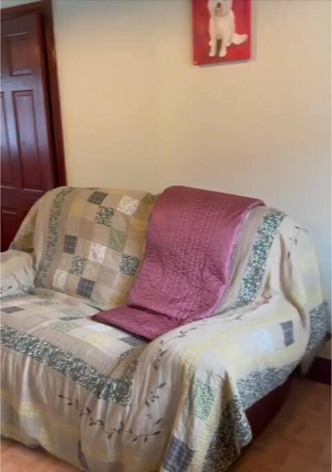 Annie Dee'S Guest Accommodation Ballygowan Bagian luar foto